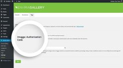 Envira Gallery Tags Addon 1.8.5