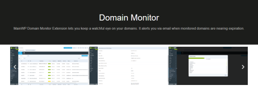 MainWP Domain Monitor