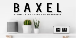 Baxel - Minimal Blog Theme for WordPress 5.0.7
