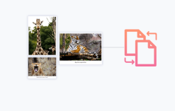 WP Portfolio Wordpress plugin with original license key Activation for lifetime