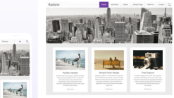 ThemeGrill – Radiate Pro 2.3.1