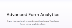 Everest Forms – Advanced Form Analytics 1.0.1