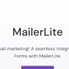 Everest Forms – MailerLite 1.0.3 3 Everest Forms E28093 MailerLite