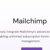 Everest Forms E28093 Mailchimp