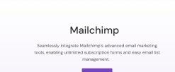 Everest Forms – Mailchimp 1.1.4