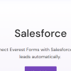 Everest Forms E28093 Salesforce