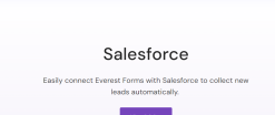 Everest Forms – Salesforce 1.0.2