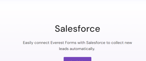 Everest Forms E28093 Salesforce