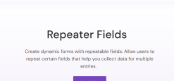 Everest Forms – Repeater Fields 1.1.2