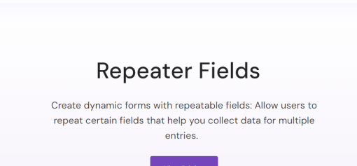 Everest Forms E28093 Repeater Fields