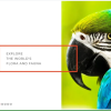 Zoo Flora Fauna Responsive Joomla Template