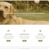 Animals Pets Joomla Template 1