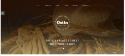 Ostin Joomla Template