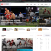 Sport Events Sports News Joomla Template