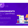 LearnPress Assignment Add on