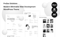 ProDev Solutions - Modern Minimalist Web Development WordPress Theme