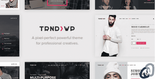 Trendy Creative Multi Purpose WordPress Theme