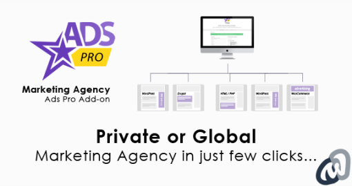 Ads Pro Add on WordPress Marketing Agency