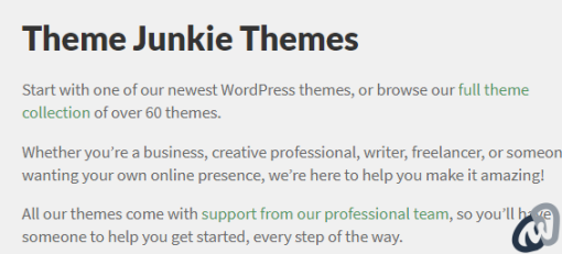Theme Junkie Remaster WordPress Theme