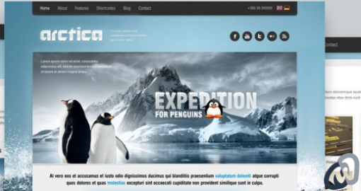 AIT Arctica WordPress Theme