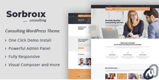 Sorbroix Business Consulting WordPress Theme