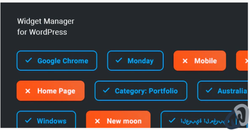 Widget Manager %E2%80%93 WordPress widgets management system