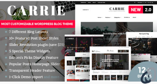 Carrie Personal Magazine WordPress Theme