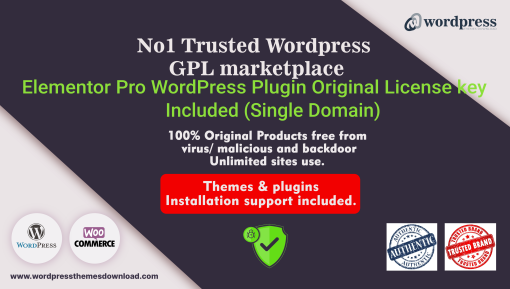 Elementor Pro WordPress Plugin Original License key Included (Single Domain)