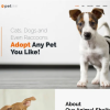PetInn Animal Shelter Responsive WordPress Theme