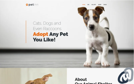 PetInn Animal Shelter Responsive WordPress Theme