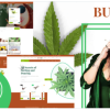 Budly Cannabis Shop WordPress Theme