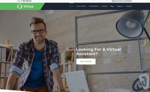 Virtua Virtual Assistant WordPress Theme 2