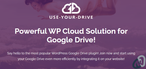 WP Cloud Plugin Use your Drive