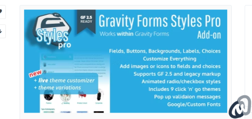 Gravity Forms Styles Pro