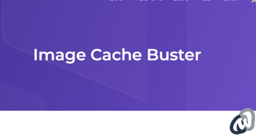 AdSanity %E2%80%93 Image Cache Buster