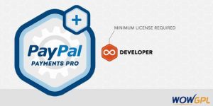 paypal payments pro large 560x280 1