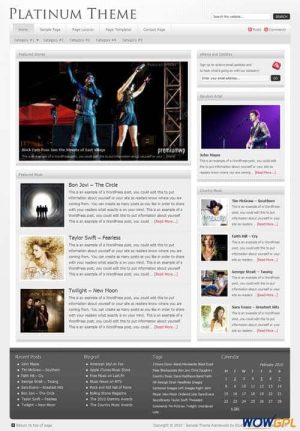 platinum wordpress theme