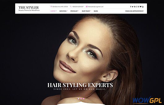 CSSIgniter The Styler WordPress Theme 1.4.4 1 styler 530x340