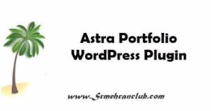 Astra Portfolio WordPress Plugin
