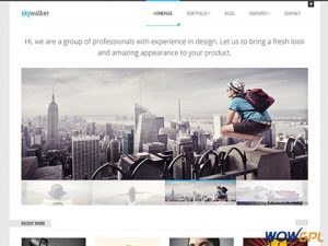 SkyWalker WordPress Theme