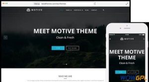 Motive Review TeslaThemes Portfolio Theme