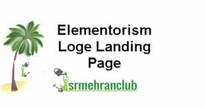 Elementorism Loge Landing Page 1.0.0 1