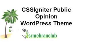CSSIgniter Public Opinion WordPress Theme 1.1.3