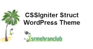 CSSIgniter Struct WordPress Theme 1.1.1