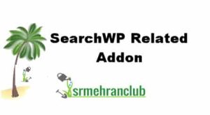 SearchWP Related Addon
