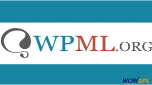WPML String Translation Addon 1