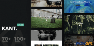 Kant A Multipurpose WordPress Theme for Startups