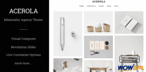 Acerola Ultra Minimalist Agency WordPress Theme