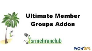Ultimate Member Groups Addon