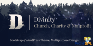 Divinity Church Nonprofit wordpress Theme